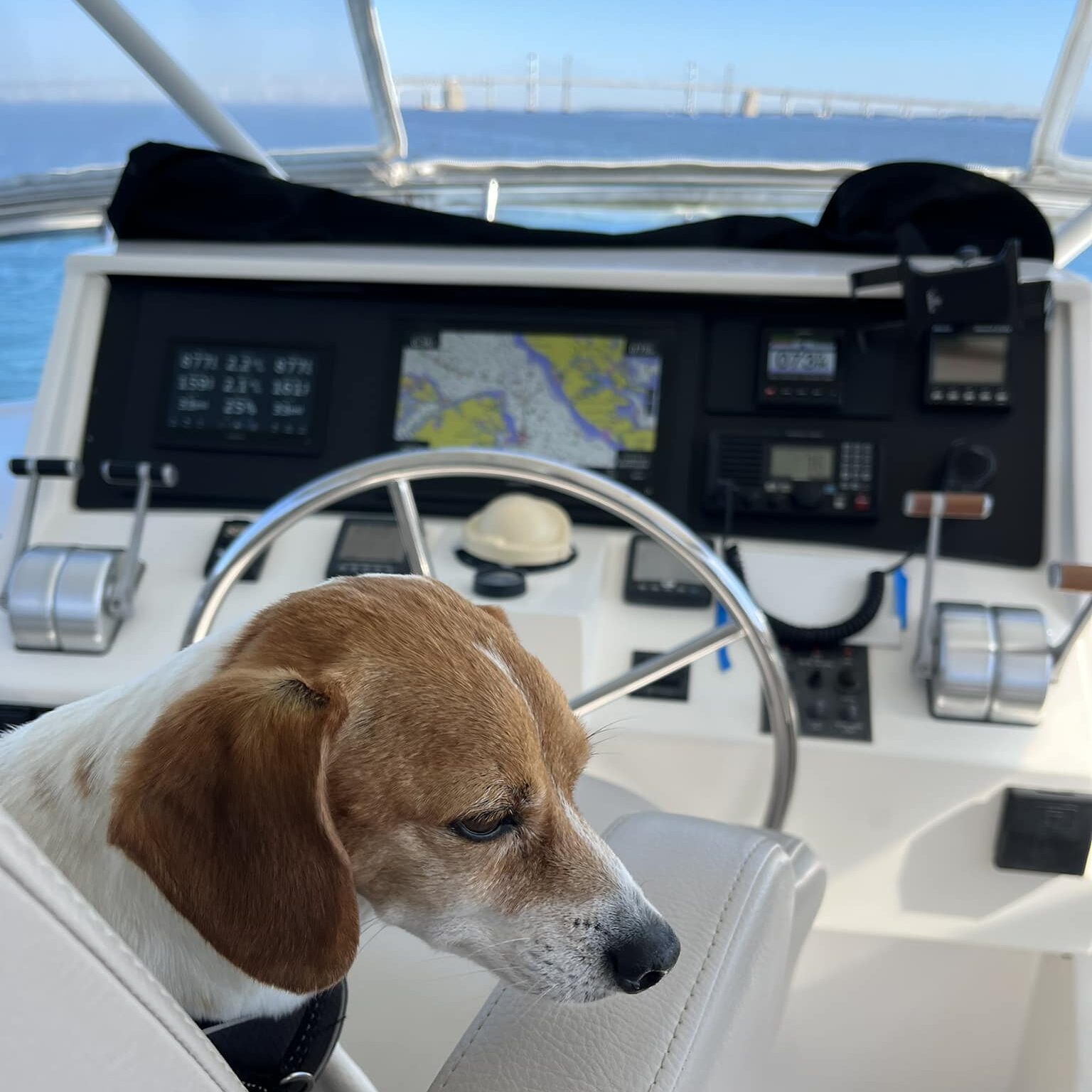 Captain on board